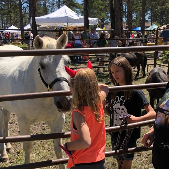 Proceeds to Paws N Hooves FL Inc. & BFAS! - Picture 3 of 3